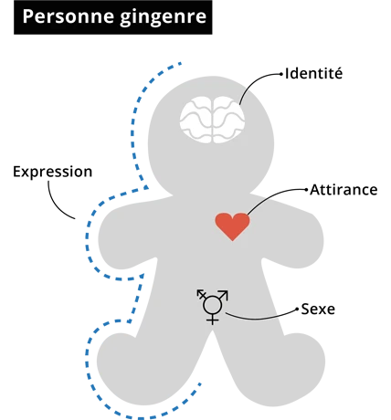 Personne gingenre sexologie cabinet sage femme Veyrac 87